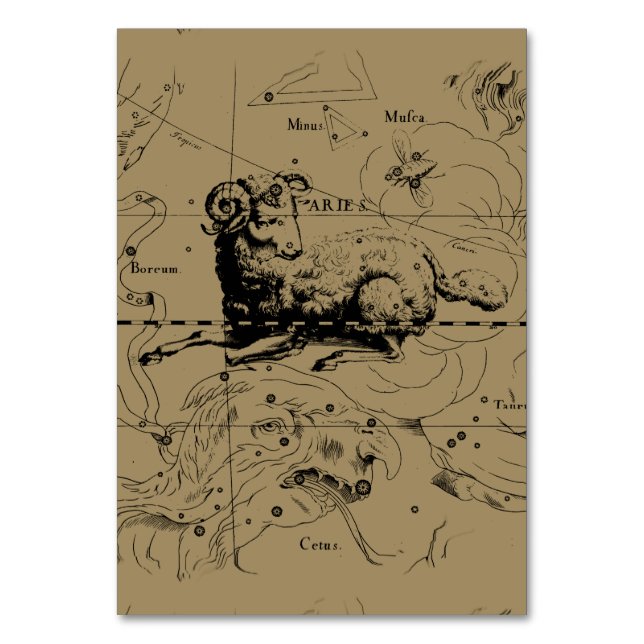 Numeração De Mesa Aries Constellation Map Hevelius circa 1690 (Frente)
