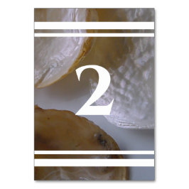 Numeração De Mesa Beach Clams Wedding
