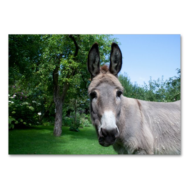 Numeração De Mesa Bonito Retrato Donkey (Frente)