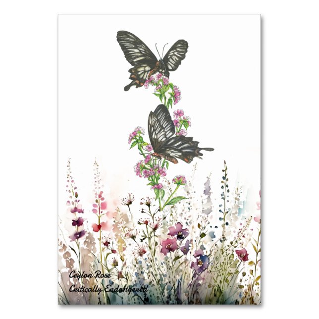 Numeração De Mesa Borboleta de Rosa pintada à mão bonito (Frente)