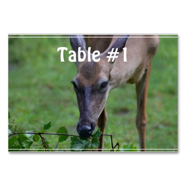 Numeração De Mesa Caçador (Frente)