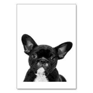 Numeração De Mesa Cão Adorável Rosto de Buldogue Francês Preto