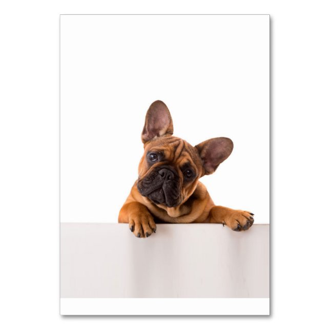 Numeração De Mesa Cão-de-Massa | Muito bonito, Buldogue inglês (Frente)