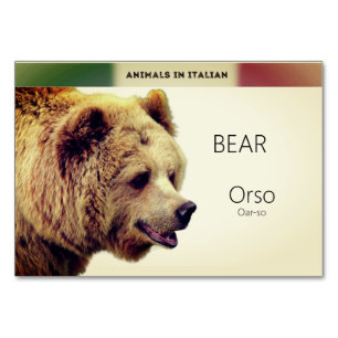 Numeração De Mesa Cartas em língua italiana Bear Animal Flash Cart