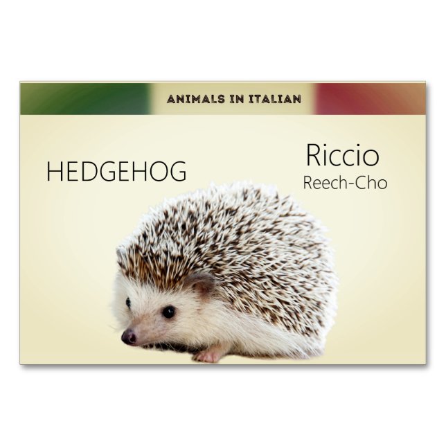 Numeração De Mesa Cartas em língua italiana Hedgehog Animal Flash | (Frente)