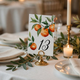 Numeração De Mesa Casamento Citrino Laranja Mediterrâneo Elegante