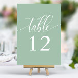 Numeração De Mesa Casamento de Caligrafia Minimalista Dusty Mint<br><div class="desc">Mande seus convidados para seus assentos com esses elegantes números de mesas de casamento verdes e poeirentas. Apresentando uma design minimalista com a caligrafia moderna, esses números de tabelas adicionam um toque de sofisticação à sua recepção de casamento. O fundo suave e a tipografia elegante e limpa garantem uma leitura...</div>