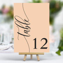 Casamento de Caligrafia Moderna com Pêssego Suave