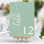Numeração De Mesa Casamento de Caligrafia Moderna Dusty Mint Green<br><div class="desc">Mande seus convidados para seus assentos com esses números de mesas de casamento verdes elegantes e poeirentas. Apresentando uma design minimalista com a caligrafia moderna, esses números de tabelas adicionam um toque de sofisticação à sua recepção de casamento. O fundo suave e a tipografia elegante e limpa garantem uma leitura...</div>