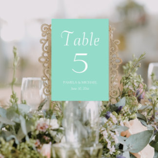 Numeração De Mesa Casamento de Estilo Simples Seafoam