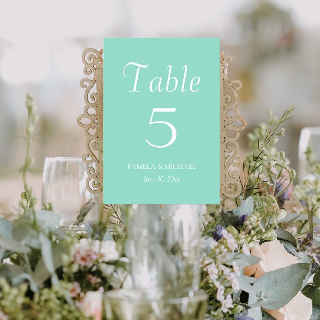 Numeração De Mesa Casamento de Estilo Simples Seafoam (In Situ Wedding)
