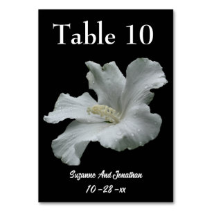 Numeração De Mesa Casamento de Flor Branco Hibiscus