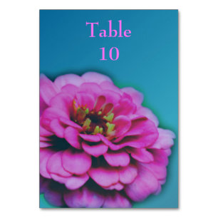 Numeração De Mesa Casamento de Flor Zinnia Rosa
