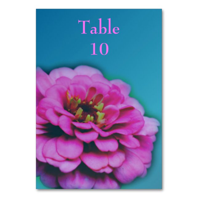 Numeração De Mesa Casamento de Flor Zinnia Rosa (Frente)
