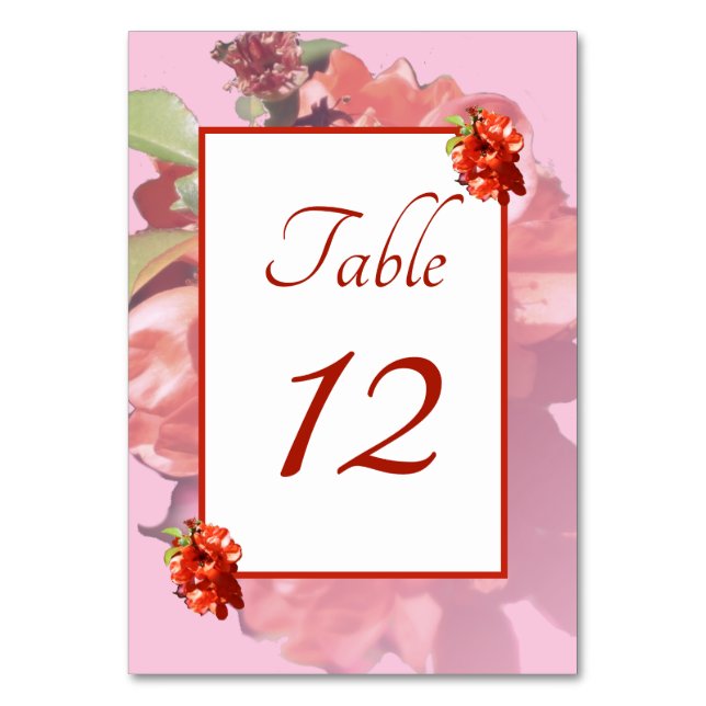 Numeração De Mesa Casamento de Flores Vermelhas e Rosa (Frente)