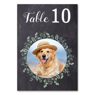 Numeração De Mesa Casamento de Fotos Moderna Eucalyptus — Quadro Cal