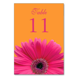 Numeração De Mesa Casamento de Gerbera Daisy Laranja-Rosa-Quente
