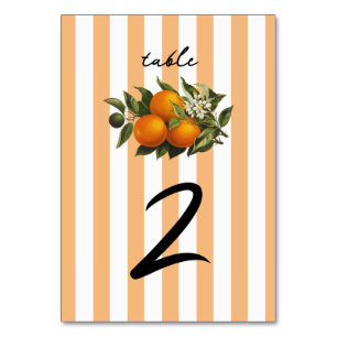 Numeração De Mesa Casamento de Laranja Limão Cítrico Mediterrâneo It