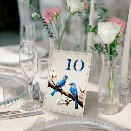 Numeração De Mesa Casamento de primavera Bluebird