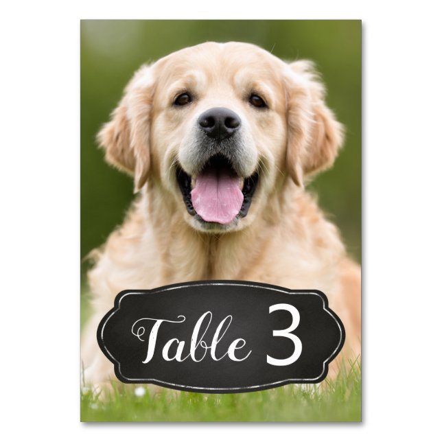 Numeração De Mesa Casamento de Quadros de Calços Russos de Fotografi (Frente)