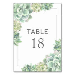 Numeração De Mesa Casamento Elegante De Suculentes Verdes Botânicos