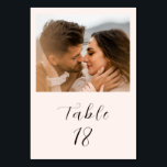 Numeração De Mesa Casamento Fotográfico Neutro Terroso Moderno<br><div class="desc">Design simples e moderno.</div>