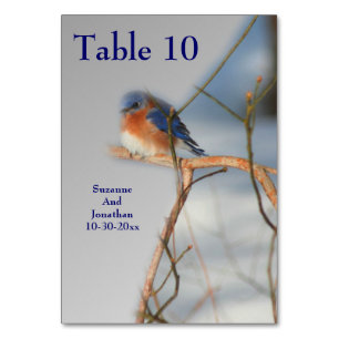 Numeração De Mesa Casamento Personalizado Bluebird Nature