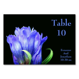 Numeração De Mesa Casamento Personalizado da Flor Gentiana Azul