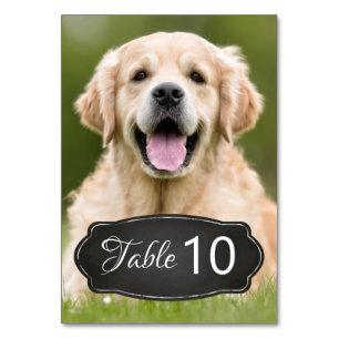 Numeração De Mesa Casamento Personalizado Moderno com Quadros de Cal