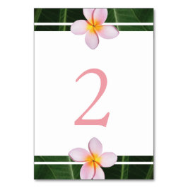 Numeração De Mesa Casamento Pink Frangipani Plumeria