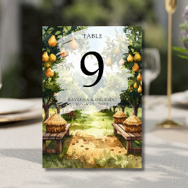 Numeração De Mesa Casamento Rústico em Pomar de Peras no Campo