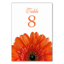 Casamento White Orange Gerbera Daisy