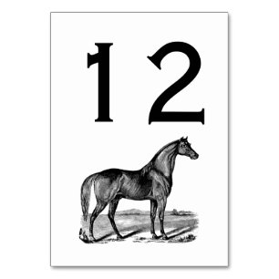 Numeração De Mesa Cavalo Antigo em Pé