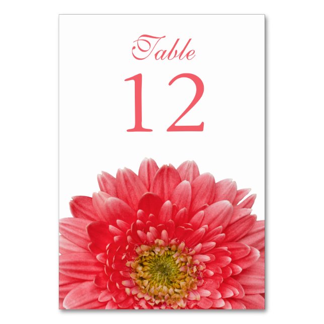 Numeração De Mesa Coral White Gerbera Daisy Wedding (Frente)