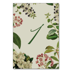 NUMERAÇÃO DE MESA CREME BOTÂNICO DOS NÚMEROS DA MESA