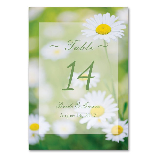 Numeração De Mesa Daisy Daisies Fllower Floral Summer Table Number (Frente)