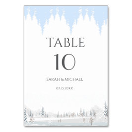 Numeração De Mesa Elegante Winter Wonderland Snowflakes