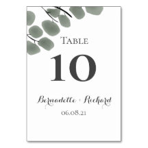 Eucalyptus deixa o tema