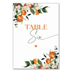 Numeração De Mesa Eucalyptus oranges citrinos quadro número 6