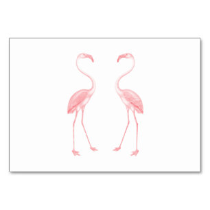 Numeração De Mesa Facing Flamingos