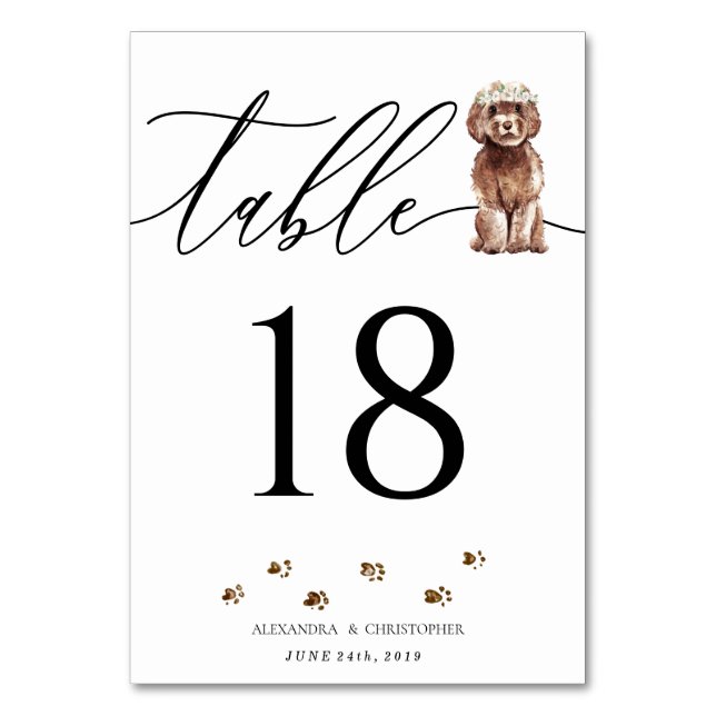 Numeração De Mesa Filhote de Cavapoo marrom Assinatura Caligrafia Ca (Frente)