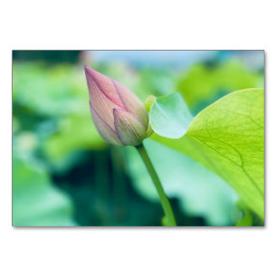 Numeração De Mesa Flor de Lotus