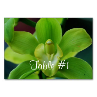 Numeração De Mesa Flores Orquídeas