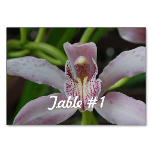 Numeração De Mesa Flores Orquídeas