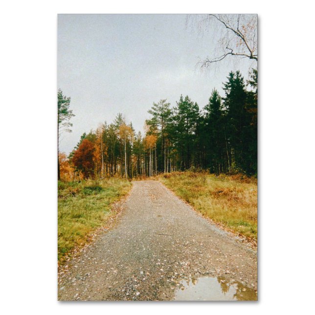 Numeração De Mesa Floresta Automática Sueca (Frente)