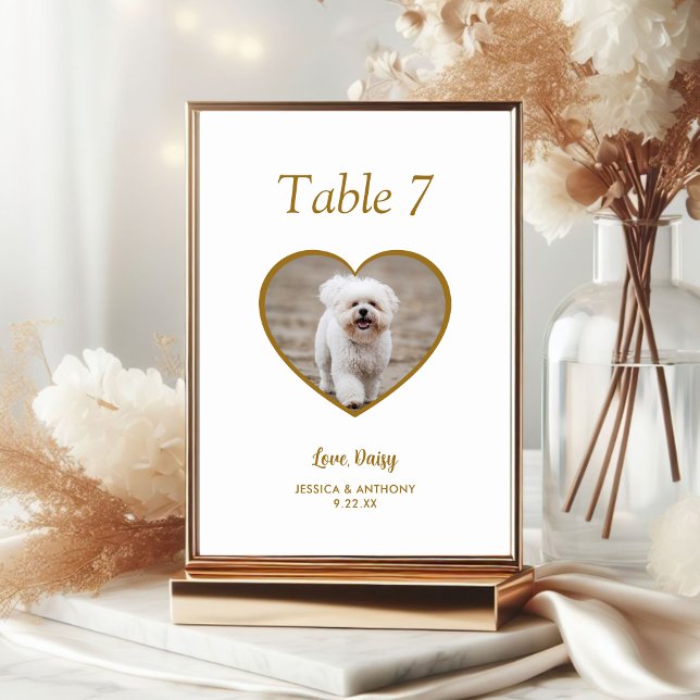 Numeração De Mesa Fotos Simples de Cachorro Dourado Casamento (Criador carregado)