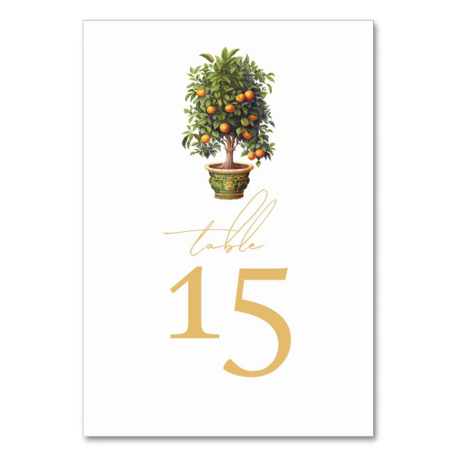 Numeração De Mesa Fruta Laranja de Casamento de Verão (Frente)