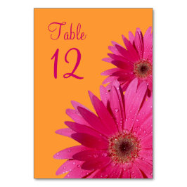 Numeração De Mesa Fuchsia Pink Orange Gerbera Daisy Wedding