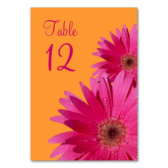 Numeração De Mesa Fuchsia Pink Orange Gerbera Daisy Wedding (Frente)