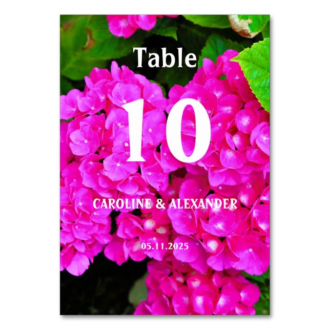 Numeração De Mesa Hídrangea Floral Cor-de-rosa Elegante (Frente)